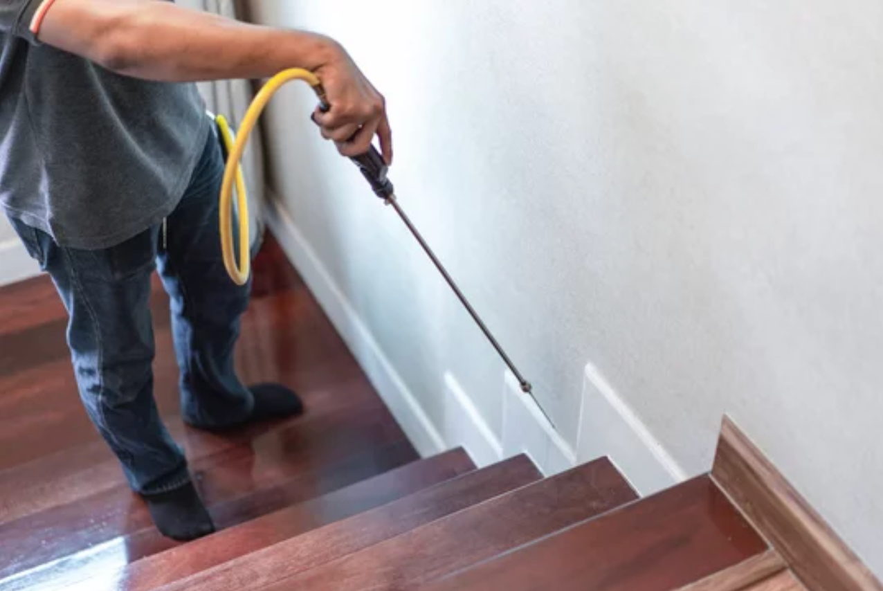 pest control company Houston TX