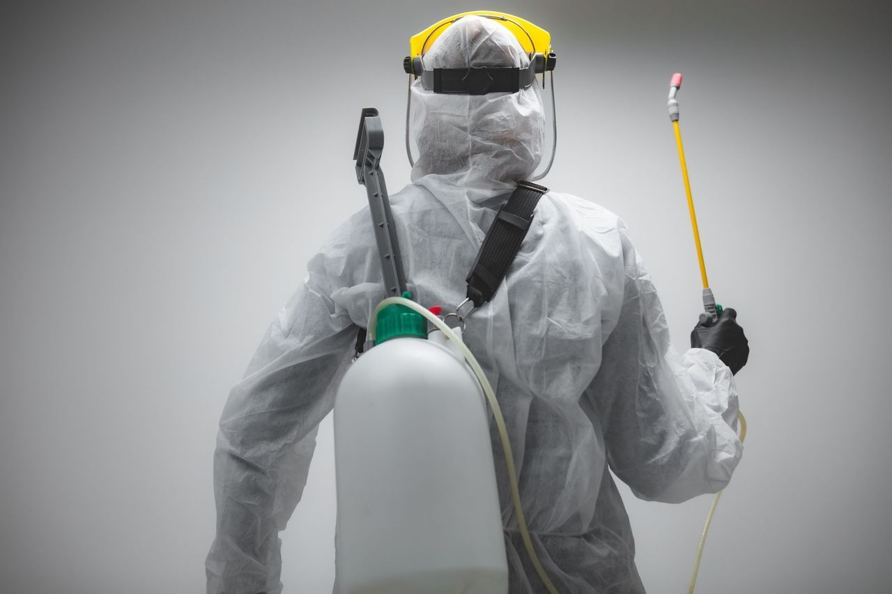 Spring TX pest control