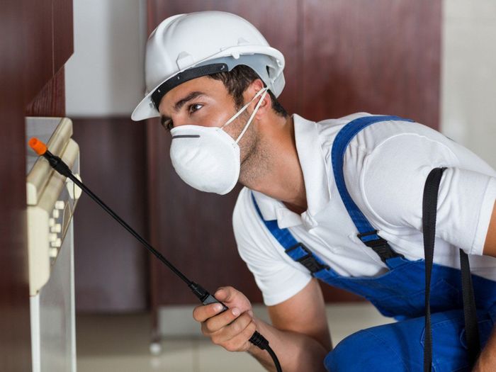 pest control companies in Spring TX
